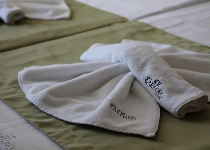 Хотел карлово 3*