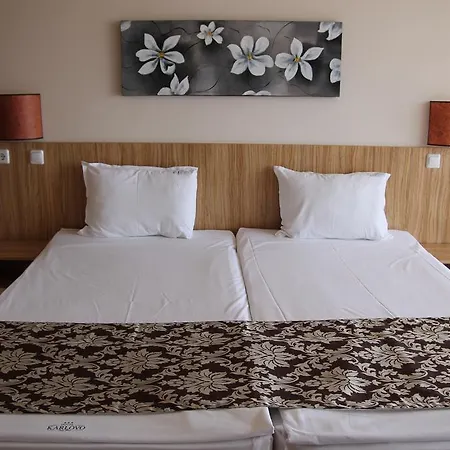 فندق Karlovo 3*