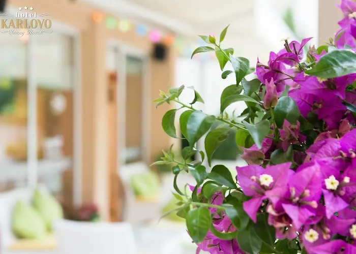 Hotell Karlovo